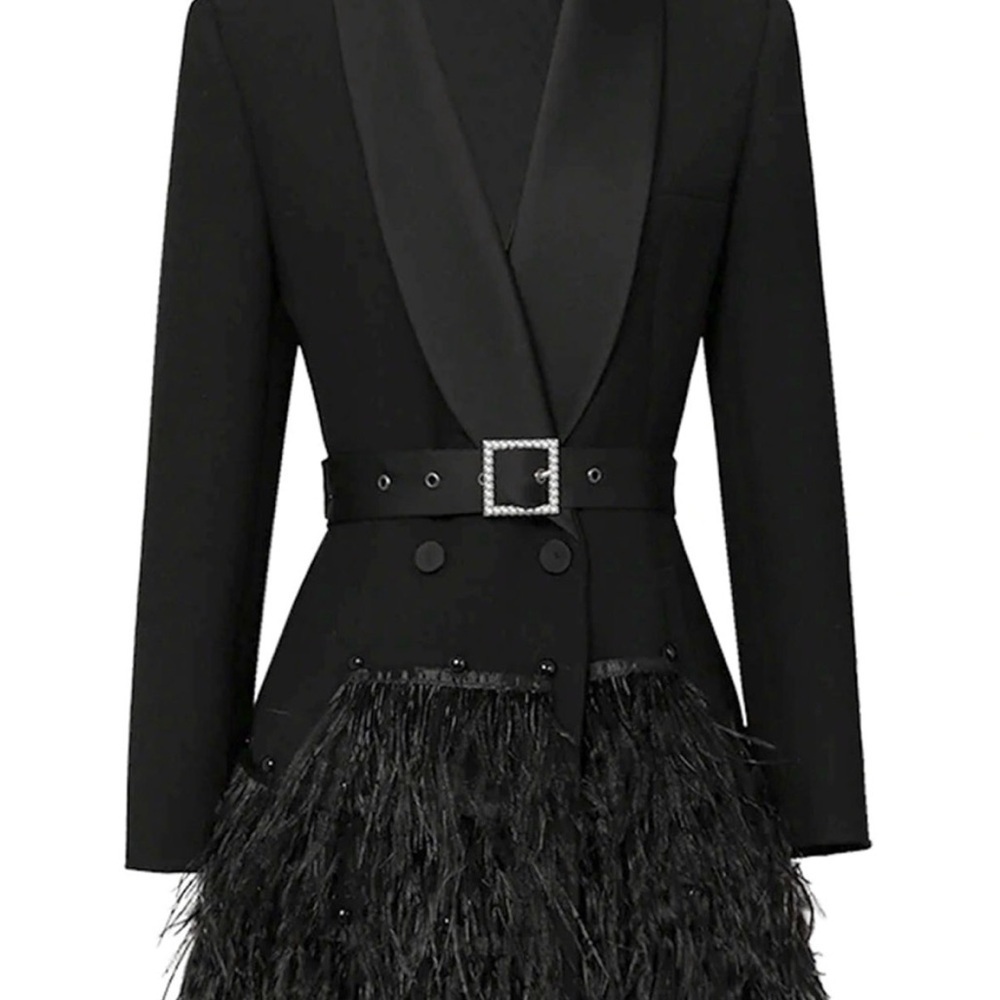 ZCRAVE Fifth Ave Feathers Dress - Picture 5 of 17